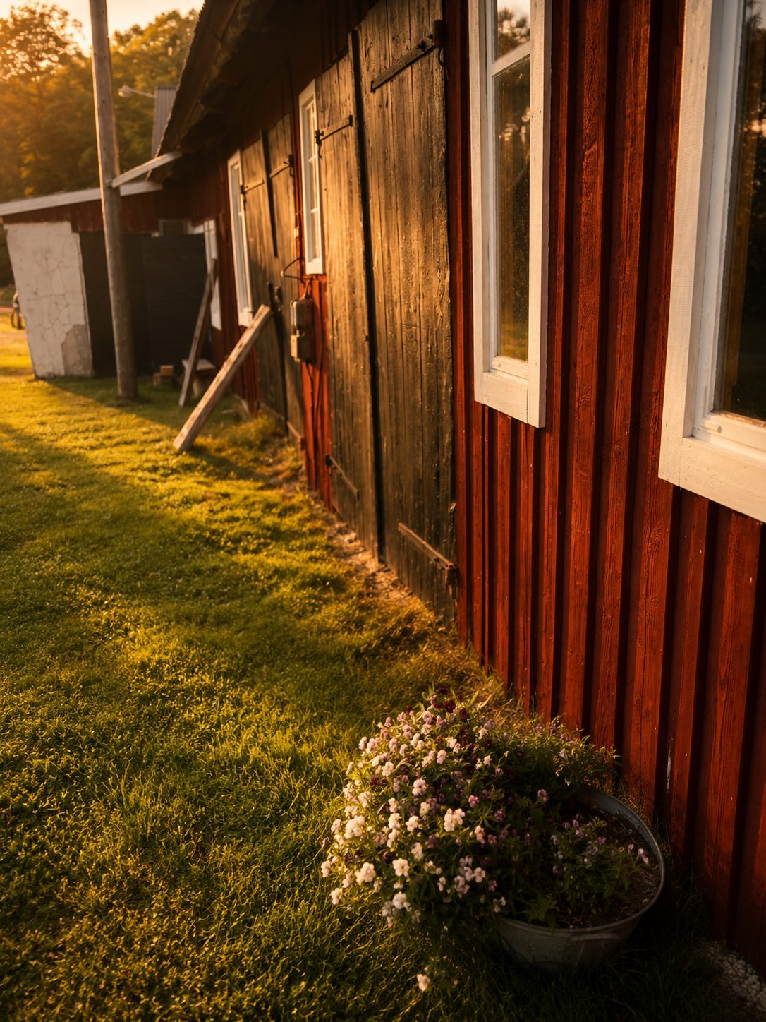 Den röda gårdsbyggnaden i Småland där Timber Ridge håller till